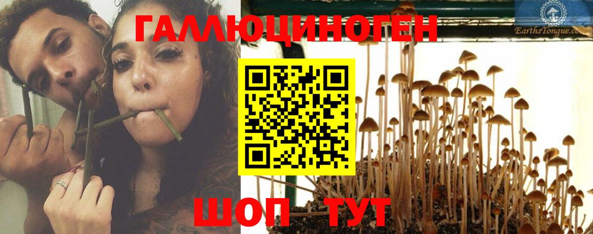 Галлюциногенные грибы мицелий Коряжма