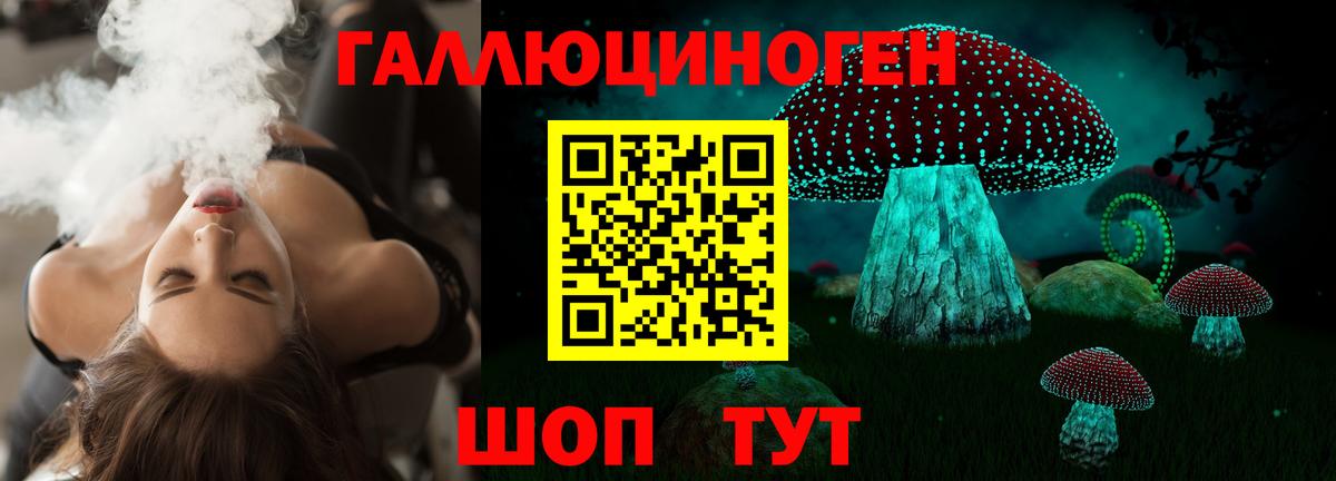 Коряжма  Псилоцибиновые грибы GOLDEN TEACHER  закладка  Вход с VPN 