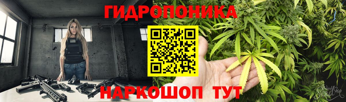 Бошки Шишки VHQ Коряжма